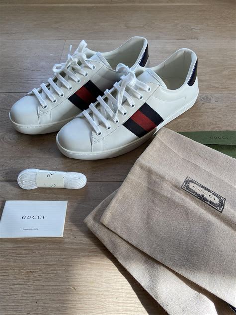 gucci koala|Gucci ace tennis shoes.